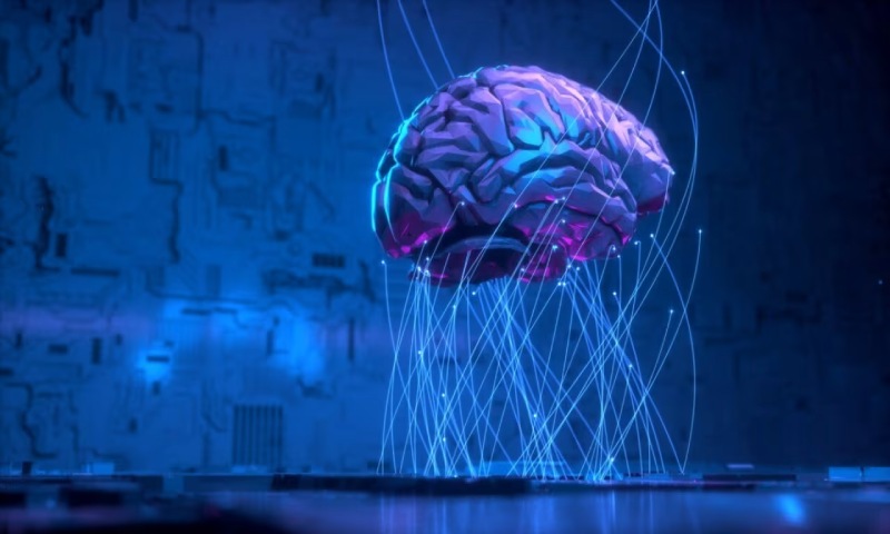 芙蓉区信创改造:你的开发团队为何必须具备多样性?